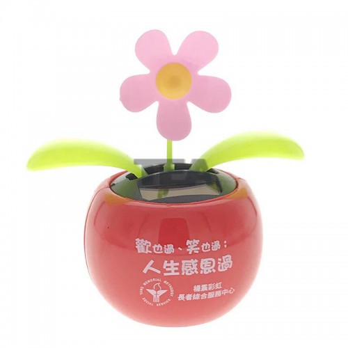 太陽能五瓣小花