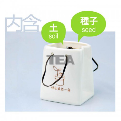 紙袋造型迷你盆栽