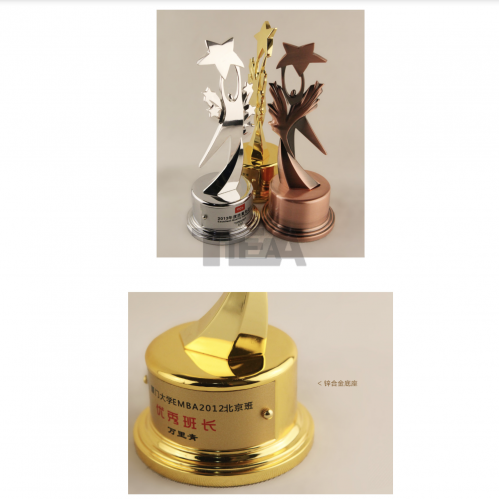 摘星之子金屬奬杯