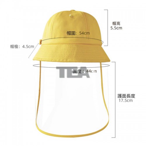 防疫漁夫帽